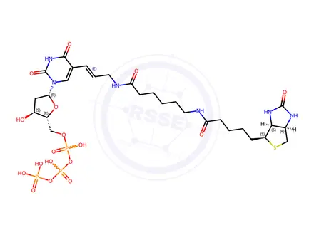 Chemical structure of Biotin-11-deoxyuridine-5'-triphosphate, triethylammonium salt-