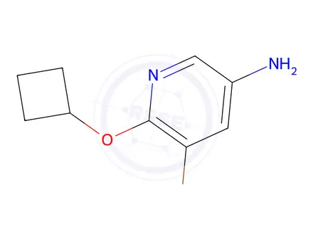 Chemical structure of 5-Bromo-6-cyclobutoxypyridin-3-amine