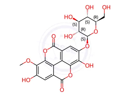 Chemical structure of Stachyanthuside A