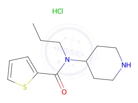 Chemical structure of n-(Piperidin-4-yl)-n-propylthiophene-2-carboxamide hydrochloride