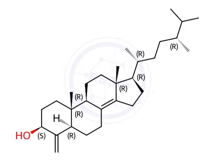 Chemical structure of Conicasterol