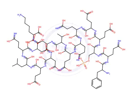 Chemical structure of Casein
