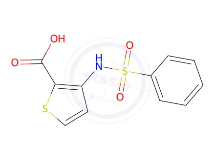 Chemical structure of 3-[(Phenylsulfonyl)amino]thiophene-2-carboxylic Acid
