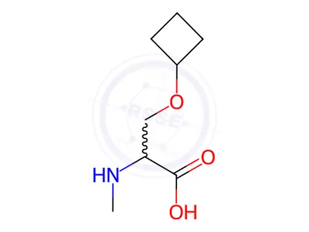 Chemical structure of O-cyclobutyl-N-methyl-L-serine