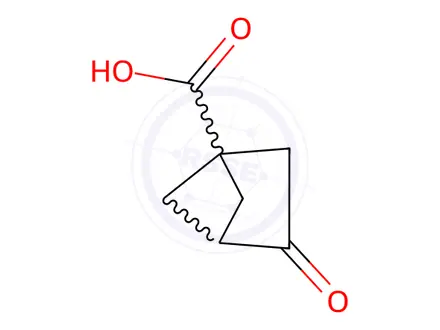Chemical structure of 3-oxobicyclo[2.1.1]hexane-1-carboxylic acid