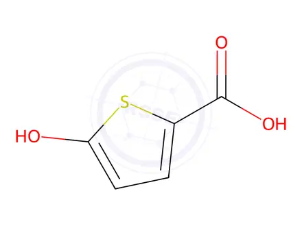 Chemical structure of 5-Hydroxythiophene-2-carboxylic acid