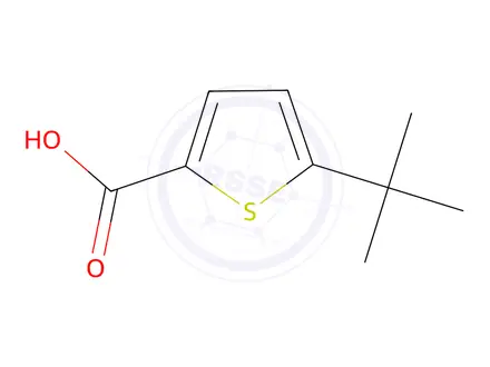Chemical structure of 5-(tert-Butyl)-3-(4-chlorophenylsulfonamido)thiophene-2-carboxylic Acid