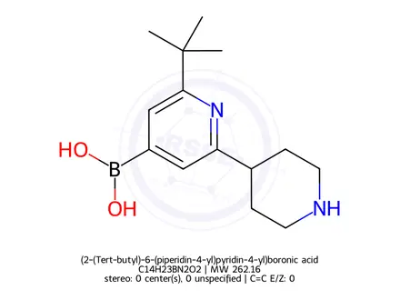 Chemical structure of (2-(Tert-butyl)-6-(piperidin-4-yl)pyridin-4-yl)boronic acid