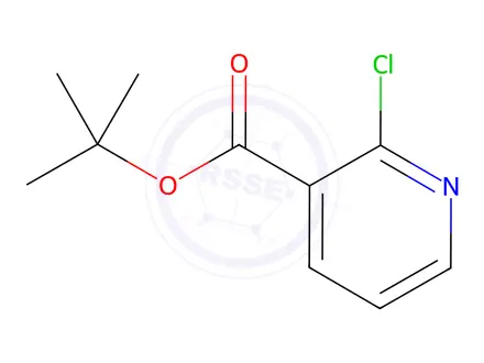 Chemical structure of tert-Butyl 2-Chloronicotinate