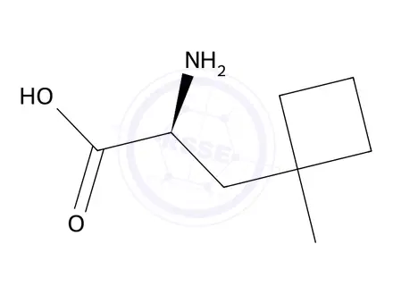 Chemical structure of (2S)-2-amino-3-(1-methylcyclobutyl)propanoic acid