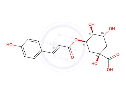 Chemical structure of 5-O-Coumaroylquinic Acid