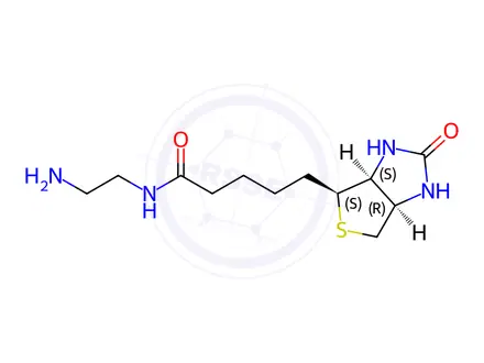 Chemical structure of N-(2-Aminoethyl)biotinamide