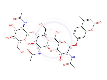 Chemical structure of 4-Methylumbelliferyl N-N-N-triacetyl-β-D-chitotrioside