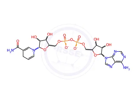 Chemical structure of α-Nicotinamide adenine dinucleotide, reduced disodium salt
