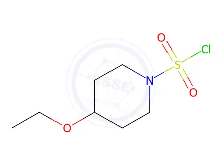 Chemical structure of 4-Ethoxypiperidine-1-sulfonyl chloride