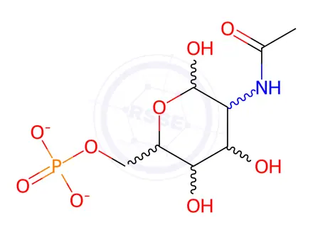 Chemical structure of N-Acetyl-D-glucosamine-6-phosphate Disodium Salt