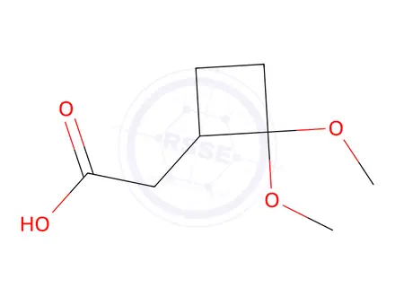 Chemical structure of 2-(2,2-dimethoxycyclobutyl)acetic acid