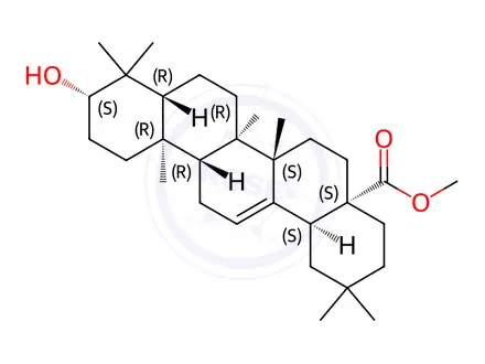 Chemical structure of Methyl Oleanolate