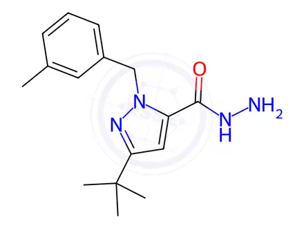 Chemical structure of 3-(TERT-BUTYL)-1-(3-METHYLBENZYL)-1H-PYRAZOLE-5-CARBOHYDRAZIDE