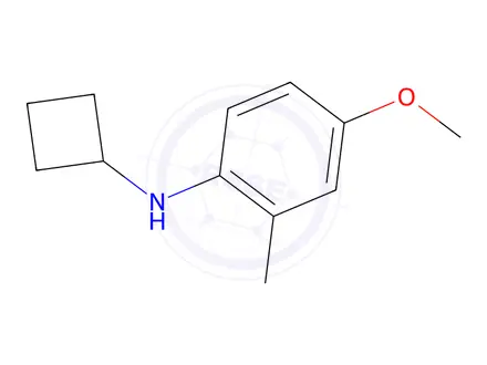 Chemical structure of n-Cyclobutyl-4-methoxy-2-methylaniline