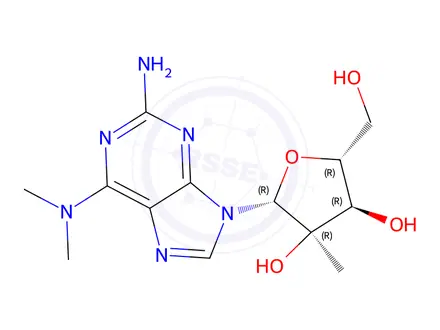 Chemical structure of 2'-b-C-Methyl-2-aMino-N6,N6-diMethyladenosine