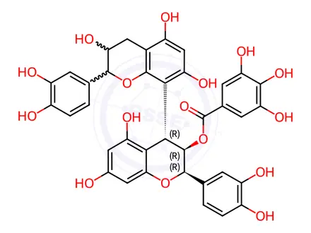 Chemical structure of Procyanidin B2 3-O-Gallate