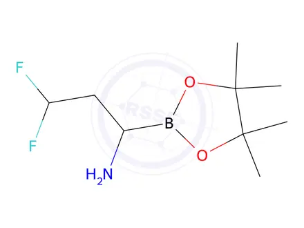 Chemical structure of 1,3,2-Dioxaborolane-2-methanamine, α-(2,2-difluoroethyl)-4,4,5,5-tetramethyl-, hydrochloride (1:1)