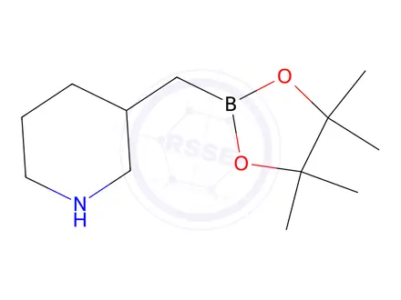 Chemical structure of 3-((4,4,5,5-Tetramethyl-1,3,2-dioxaborolan-2-yl)methyl)piperidine