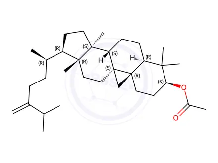 Chemical structure of 24-Methylenecycloartanol acetate