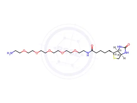 Chemical structure of 1H-Thieno[3,4-d]imidazole-4-pentanamide, N-(17-amino-3,6,9,12,15-pentaoxaheptadec-1-yl)hexahydro-2-oxo-, (3aS,4S,6aR)