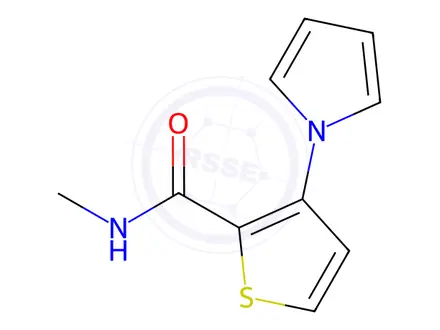 Chemical structure of N-Methyl-3-(1H-pyrrol-1-yl)thiophene-2-carboxamide