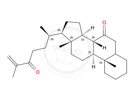 Chemical structure of 7-Oxo Cholestenone