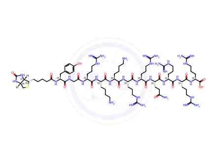 Chemical structure of Biotin-TAT (47-57)
