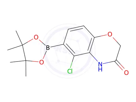 Chemical structure of 5-Chloro-6-(4,4,5,5-tetramethyl-1,3,2-dioxaborolan-2-yl)-2H-benzo[b][1,4]oxazin-3(4H)-one