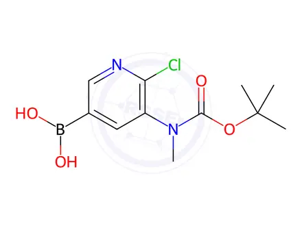 Chemical structure of 3-(N-BOC-N-Methylamino)-2-chloropyridine-5-boronic acid