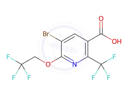 Chemical structure of 5-Bromo-6-(2,2,2-trifluoroethoxy)-2-(trifluoromethyl)nicotinic acid