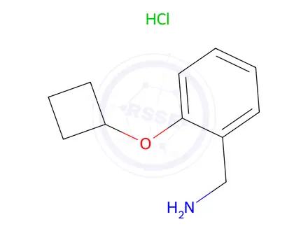 Chemical structure of (2-Cyclobutoxyphenyl)methanamine hydrochloride