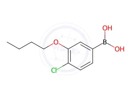 Chemical structure of (3-Butoxy-4-chlorophenyl)boronic acid