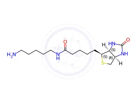 Chemical structure of N-(5-Aminopentyl)-5-((3aS,4S,6aR)-2-oxohexahydro-1H-thieno[3,4-d]imidazol-4-yl)pentanamide