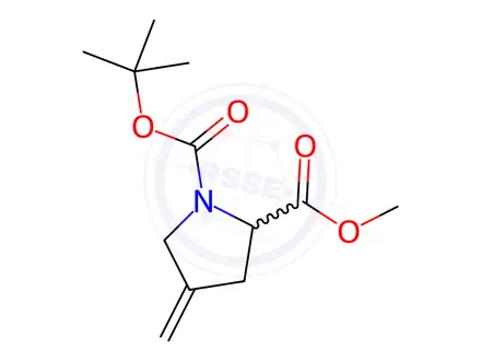 Chemical structure of 1-(1,1-Dimethylethyl) 2-methyl 4-methylene-1,2-pyrrolidinedicarboxylate