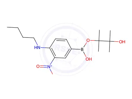 Chemical structure of N-Butyl-2-nitro-4-(4,4,5,5-tetramethyl-1,3,2-dioxaborolan-2-yl)aniline