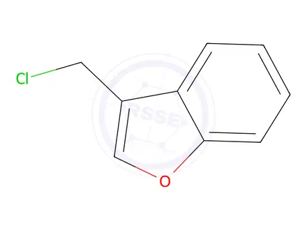 Chemical structure of 3-(Chloromethyl)benzofuran