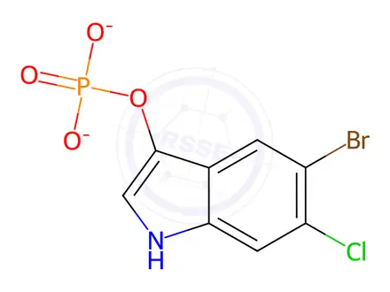Chemical structure of 5-Bromo-6-chloro-3-indolyl Phosphate Disodium Salt