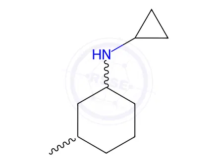 Chemical structure of n-Cyclopropyl-3-methylcyclohexan-1-amine