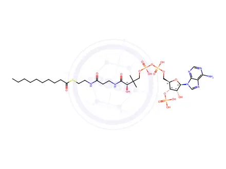 Chemical structure of Decanoyl coenzyme A, free acid