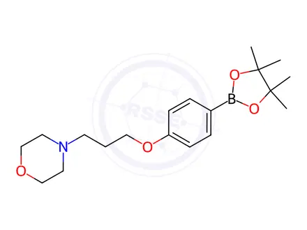 Chemical structure of 4-(3-Morpholinopropoxy)phenylboronic acid, pinacol ester