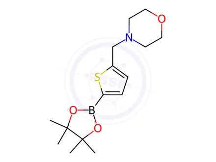 Chemical structure of 5-(Morpholinomethyl)thiophene-2-boronic acid, pinacol ester
