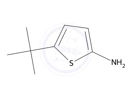 Chemical structure of 5-(tert-Butyl)thiophen-2-amine