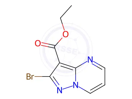 Chemical structure of Ethyl 2-broMopyrazolo[1,5-a]pyriMidine-3-carboxylate