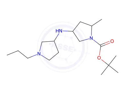 Chemical structure of tert-butyl 2-methyl-4-[(1-propylpyrrolidin-3-yl)amino]pyrrolidine-1-carboxylate